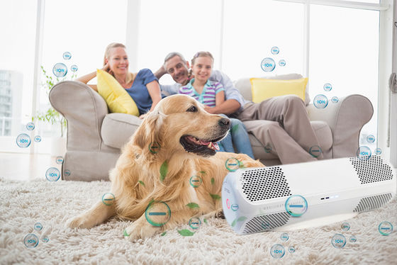 Özel Kalıplı ABS Hava Dezenfektörü H1N1 Grip Virüslerini Bakterileri Mantarları OEM/ODM