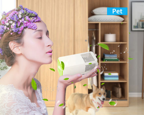 Küçük Oda Tuvalet Mutfak Hava Temizleyicisi Alerjenleri, Polenleri ve Kokuları Kaldırmak İçin Mükemmel