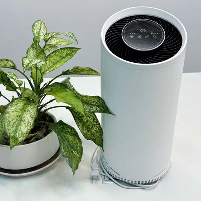 Aktif Karbon Filtreli HEPA Soğuk Plazma Hava Temizleyicisi 36W Maksimum Güç 220V Voltaj
