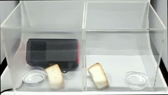 Gürültü 27dB Araç Taze ve Temiz Hava Arıtıcı