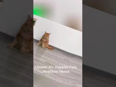 Pet Hava Temizleme Cihazı HP01